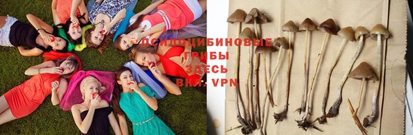 ешки Верхний Тагил