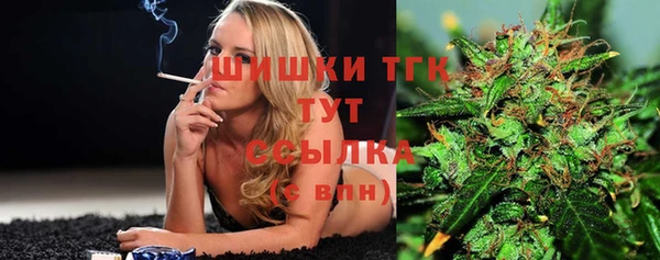ешки Верхний Тагил