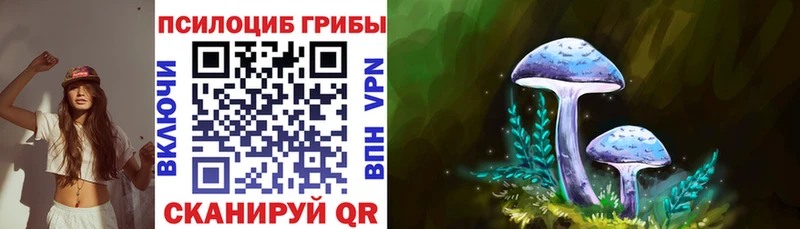 где купить наркотик  Петрозаводск  Псилоцибиновые грибы Psilocybine cubensis 