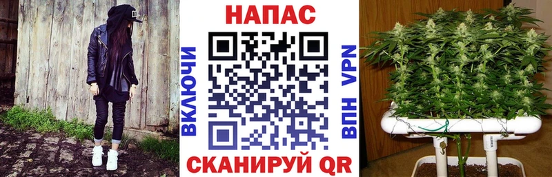 дарк нет телеграм  Петрозаводск  Конопля VHQ 
